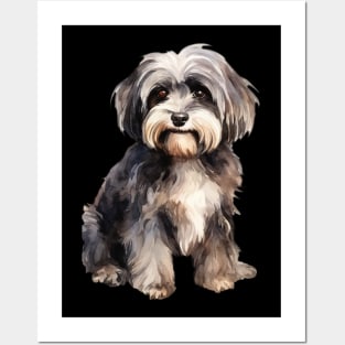 Havanese Posters and Art